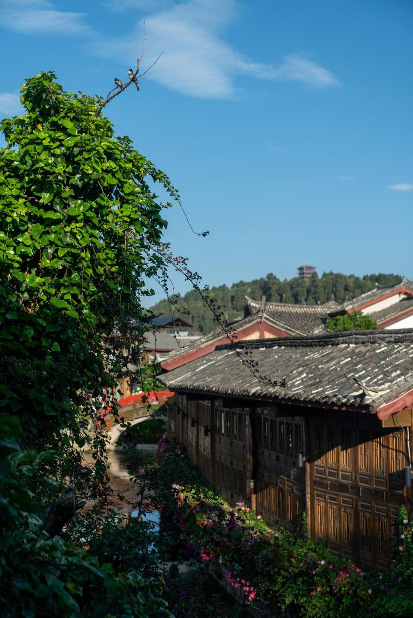 Jun Bo Xuan Boutique Hotel Lijiang  Esterno foto